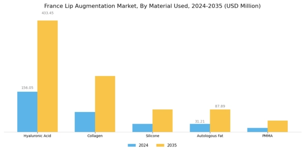 France Lip Augmentation Market Segment Image 1
