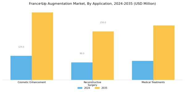 France Lip Augmentation Market Segment Image 2