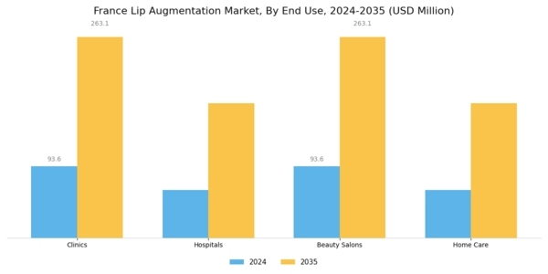 France Lip Augmentation Market Segment Image 3
