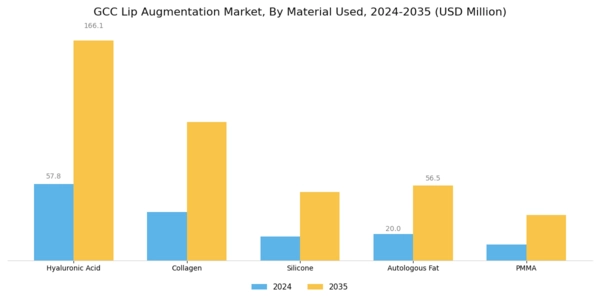 GCC Lip Augmentation Market Segment Image 1