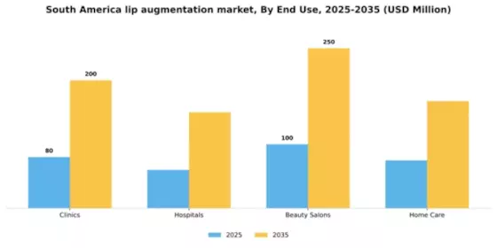 South America Lip Augmentation Market Segment Image 1
