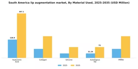 South America Lip Augmentation Market Segment Image 2