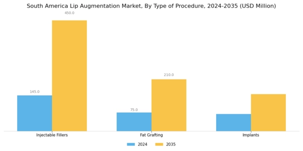 South America Lip Augmentation Market Segment Image 0