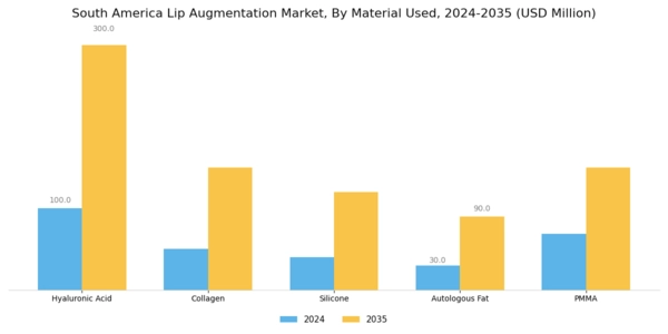 South America Lip Augmentation Market Segment Image 1