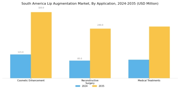 South America Lip Augmentation Market Segment Image 2