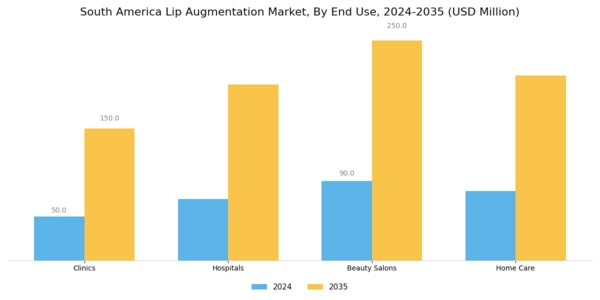 South America Lip Augmentation Market Segment Image 3
