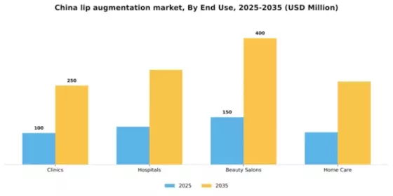 China Lip Augmentation Market Segment Image 1