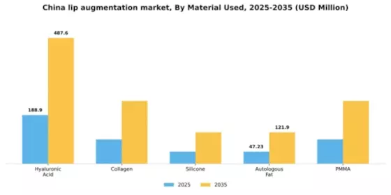 China Lip Augmentation Market Segment Image 2