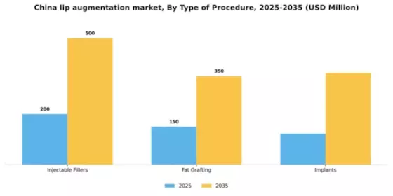 China Lip Augmentation Market Segment Image 3