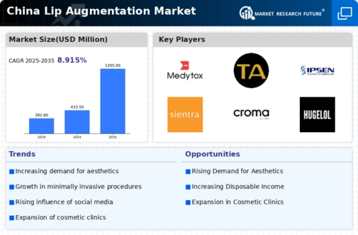 China Lip Augmentation Market Infographic