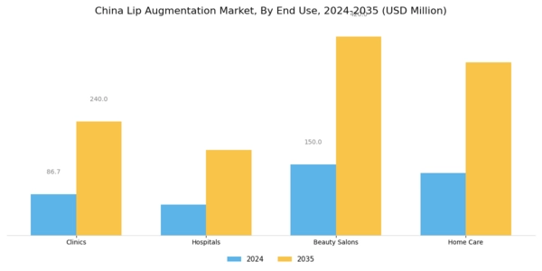 China Lip Augmentation Market Segment Image 3