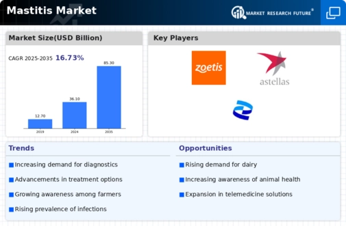Mastitis Market Infographic