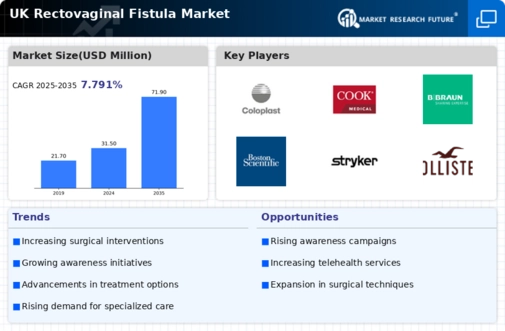 UK Rectovaginal Fistula Market Infographic