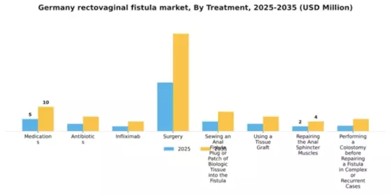 Germany Rectovaginal Fistula Market Segment Image 2