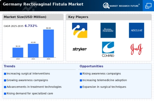 Germany Rectovaginal Fistula Market Infographic