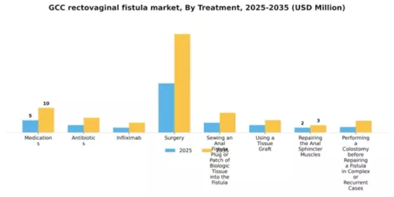 GCC Rectovaginal Fistula Market Segment Image 2