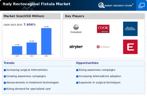 Italy Rectovaginal Fistula Market Infographic