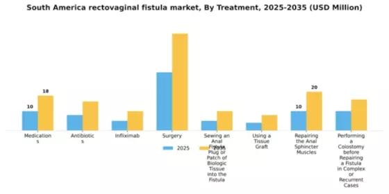 South America Rectovaginal Fistula Market Segment Image 2
