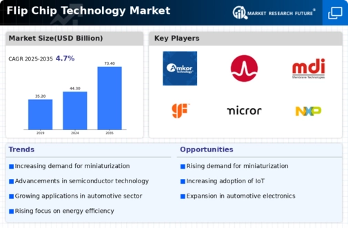 Flip Chip Technology Market Infographic