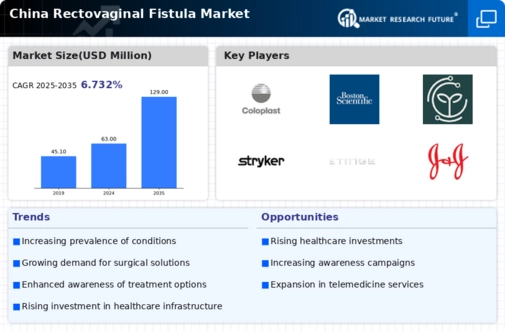 China Rectovaginal Fistula Market Infographic