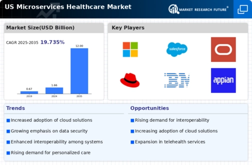 US Microservices Healthcare Market
 Infographic