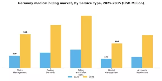 Germany Medical Billing Outsourcing Market Segment Image 2