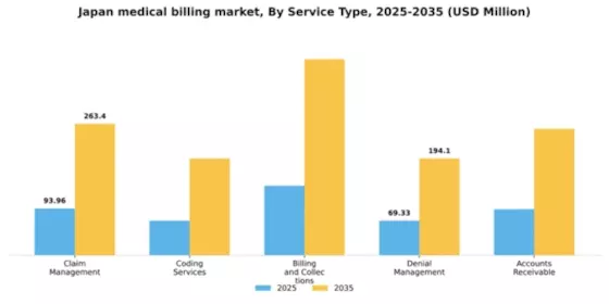 Japan Medical Billing Outsourcing Market Segment Image 2