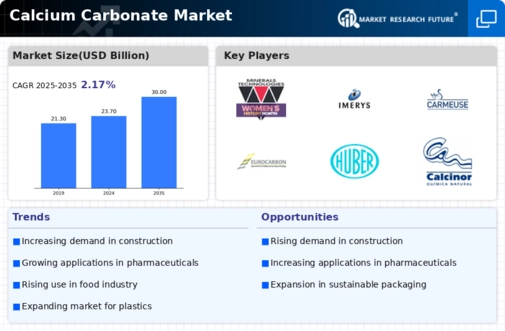 Calcium Carbonate Market Infographic