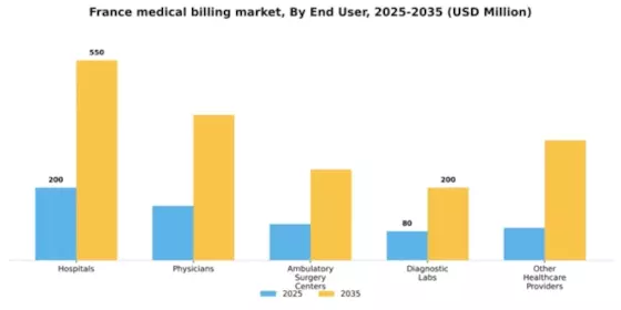 France Medical Billing Outsourcing Market Segment Image 1