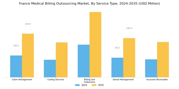 France Medical Billing Outsourcing Market Segment Image 0