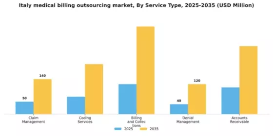 Italy Medical Billing Outsourcing Market Segment Image 2