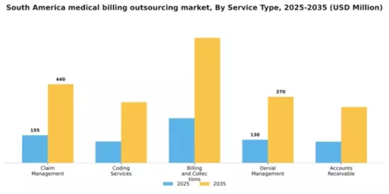 South America Medical Billing Outsourcing Market Segment Image 2