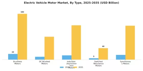 Electric Vehicle Motor Market Segment Image 1