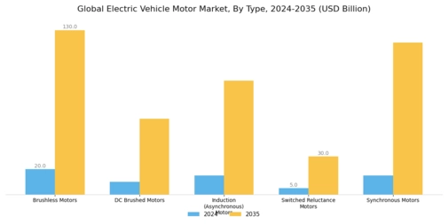 Electric Vehicle Motor Market Segment Image 1