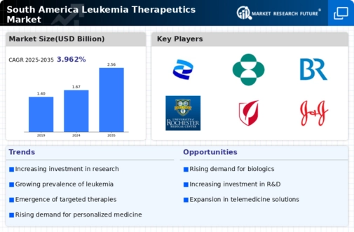 South America Leukemia Therapeutics Market Infographic