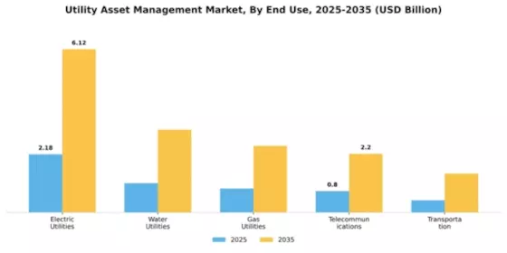 Utility Asset Management Market Segment Image 3