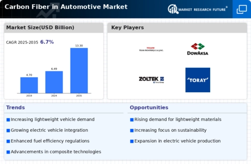 Carbon Fiber Automotive Market Infographic