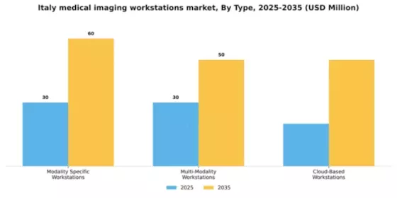 Italy Medical Imaging Workstations Market Segment Image 3