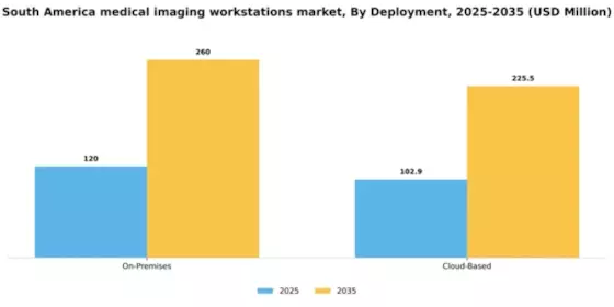 South America Medical Imaging Workstations Market Segment Image 1