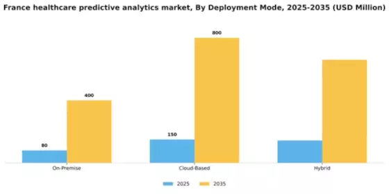 France Healthcare Predictive Analytics Market Segment Image 2