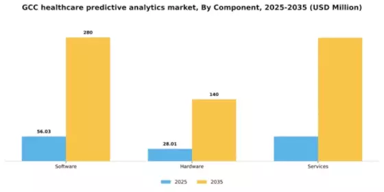 GCC Healthcare Predictive Analytics Market Segment Image 1