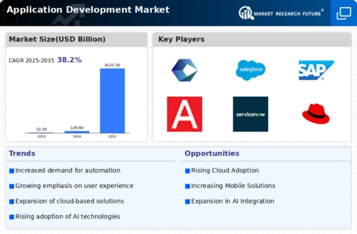 Application Development Market Infographic