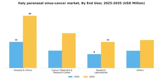 Italy Paranasal Sinus Cancer Market Segment Image 1