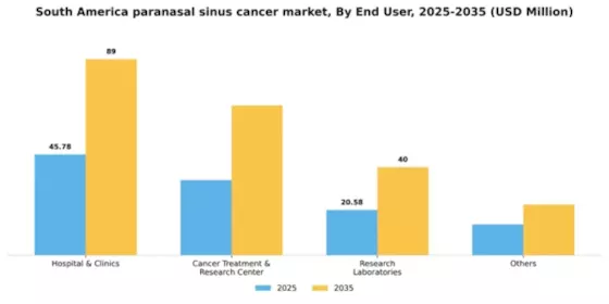 South America Paranasal Sinus Cancer Market Segment Image 2