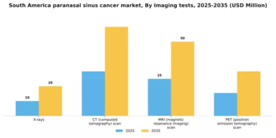 South America Paranasal Sinus Cancer Market Segment Image 3