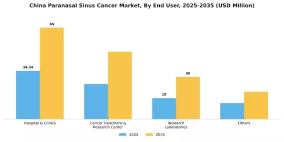 China Paranasal Sinus Cancer Market Segment Image 1