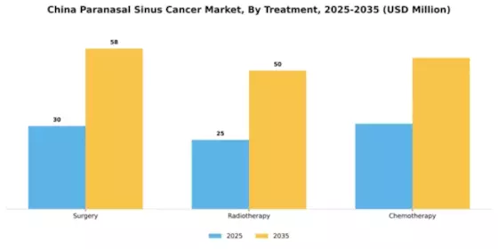China Paranasal Sinus Cancer Market Segment Image 2