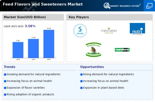 Feed Flavors Sweeteners Market Infographic