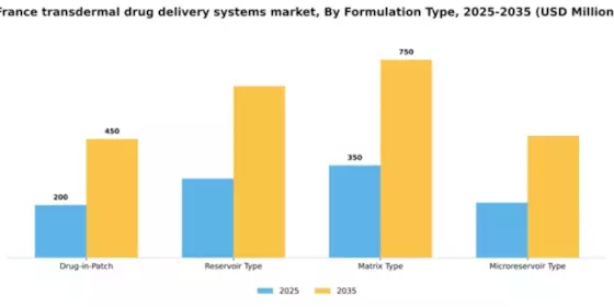 France Transdermal Drug Delivery Systems Market Segment Image 2
