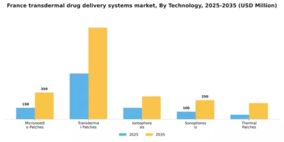 France Transdermal Drug Delivery Systems Market Segment Image 3
